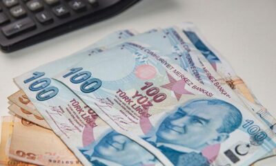 Bir Yılan Hikayesi,