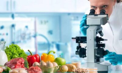 Gıdalarımız denetlenmiyor…