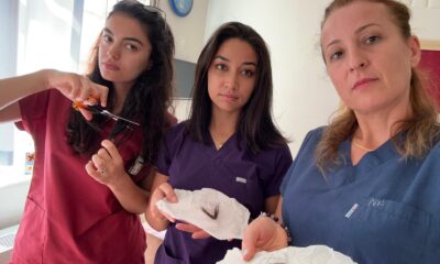 Sağlıkta şiddet bitmiyor