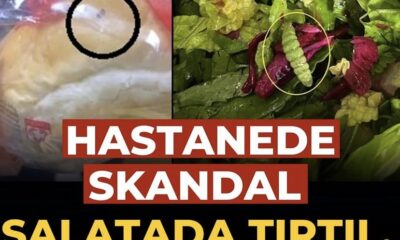 Salatada Tırtıl, Ekmekte Böcek